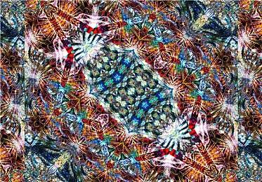 暗黑破坏神4steam上有吗？暗黑4steam可以玩吗？